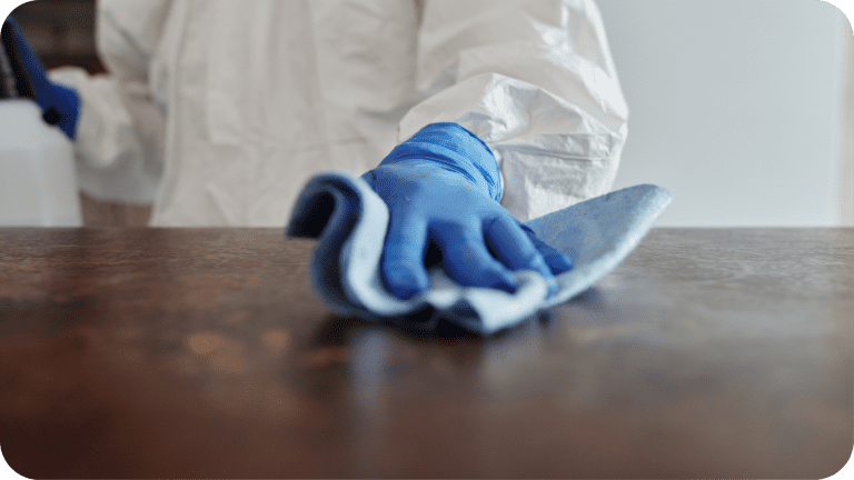 Disinfection-and-cleaning-services